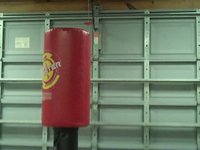 Trent - Bag training