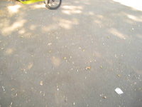bunnyhop barspin