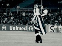 TV Galo HD: Atletico 2 x 1 Barueri