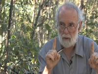 Dan Janzen on a future DNA reader