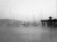 Mast in the Mist