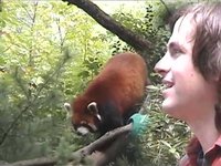 MGMT GOES TO THE ZOO