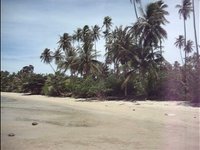Koh Samui-Thailand 2008:Dream or reality?