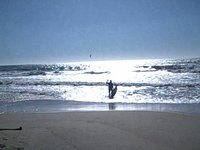 Kite Surfing near Princeton-by-the-Sea