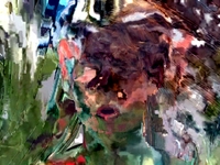 Chairlift - "Evident Utensil" Music Video
