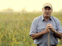 the Story of the Seeds