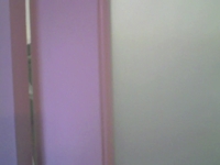 The Flamingo Hotel and Casino "Go Room"