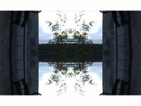 MIERS / PEACE