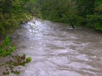 Water Under the Bridge