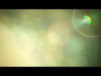 Outta Focus