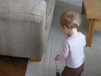 Sydney Walking at Home 1