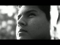 Storyboards (Film Study)