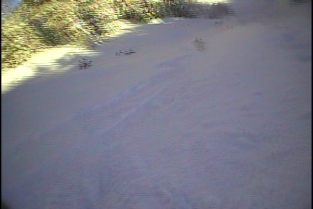 Mt. High Powder Runs