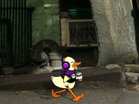 Kyle the Duck Walks Along Greenwich Village.