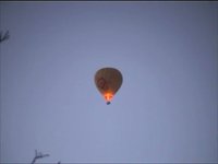 Balloons seen from a Northcote Backyard