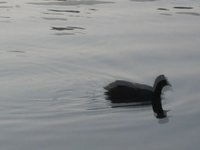 Letzter schöner Sommertag 2009