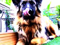 Fun in the Garden