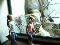 Lydia and Chloe Playing with a BIG cat