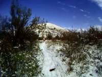 Zootown  10 "Snow"