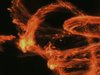 Photo art videos