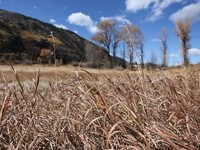 Canon 5D Mark II Aspen Autumn clips