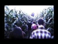 The Corn Maze