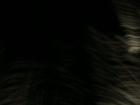 in the landscape /// left side