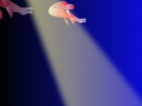 acrobat somersault test