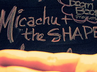 +Micachu & The Shapes