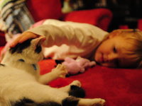 Lily with Maddi's new kitty Green Eyes 2