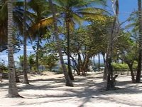 Guadeloupe - Plage de Caravelle