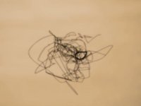 Lines