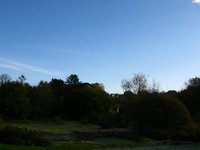 Fall TimeLapse