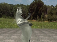 Horse Bipedal Anim test