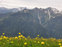 2009 Alps Paragliding Tour