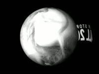 Nice Try Sneak Peak: The Intro