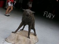 ESPNU Campus Connection: Fury