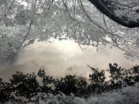 Clouds