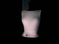 Site Specific : Hands in model