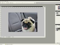 Photoshop Basics Part 1