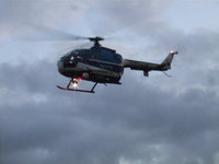 Fly, Fly, Fly...
