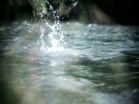 Ribarroja del Túria