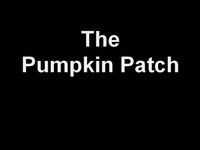 A Visit to the Pumpkin Patch