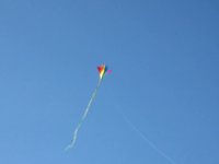 Kite Flying at Skewl