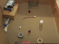 Rat Playpen Timelapse