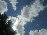 Summer Shot