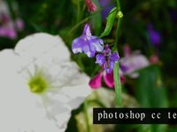 Photoshop colour correction (GH1)