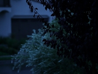A Minute of Rain