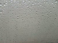 The Rain