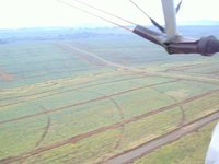 The Day Nelly, Jovan and Lester Flew